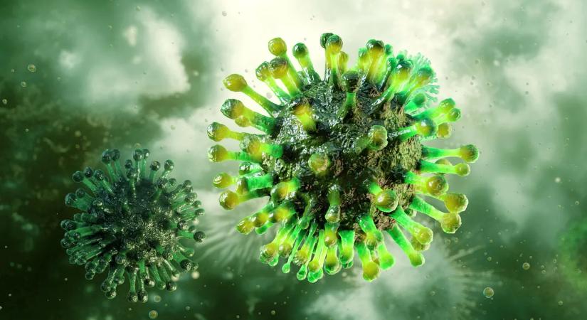 Lépnek a kutatók, így vizsgálják az influenza vírus terjedését