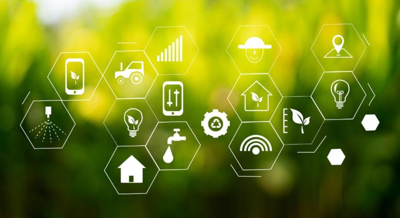 Precíz döntések valós adatok alapján