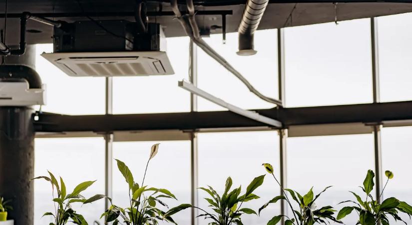 A munkahelyi jóllét a levegő minőségével kezdődik