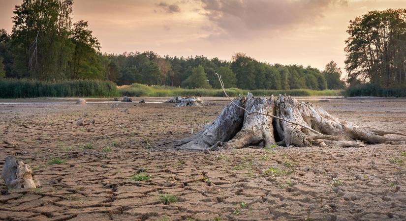 Nevezzük nevükön: hőhullámok, aszályok, rekordévek
