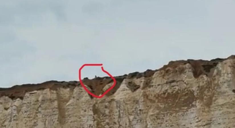 Megdöbbentő jelenet: Horgászni indultak, édeshármasba futottak bele