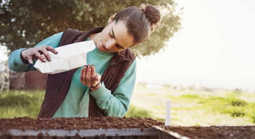 Most rendelem meg a tavaszt: így választok magokat, hogy valóban a földbe kerüljenek