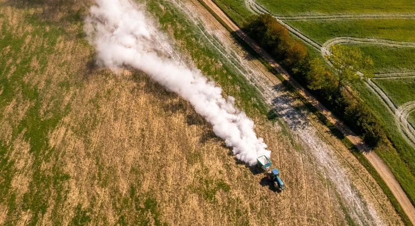 A németek már tudják – követhetnénk őket