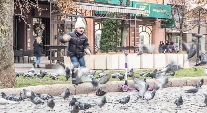 Az Ökumenikus Segélyszervezet washingtoni támogatással indít segélyprogramot Kárpátalján