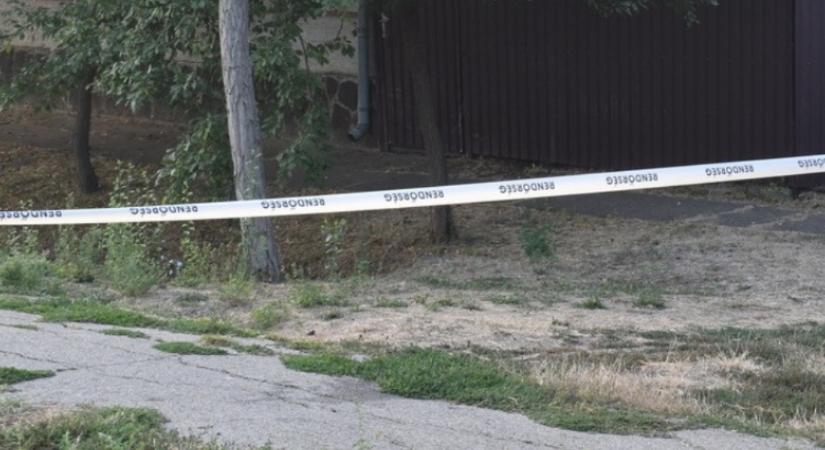 Szilvaszedésre ment egy fiú egy 86 éves bácsihoz, majd agyonverte