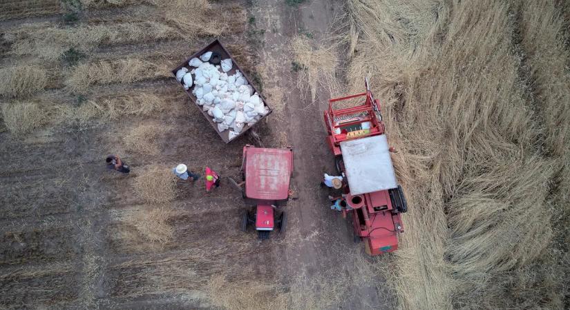 Majdnem 35 ezer látogatót fogadott az idei AGROmashEXPO