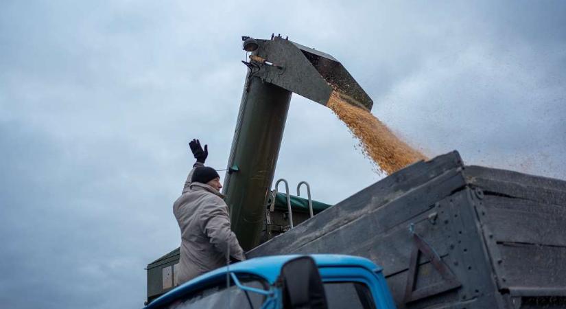 Uniós fellépést sürget négy tagállam az ukrán gabonadömping miatt