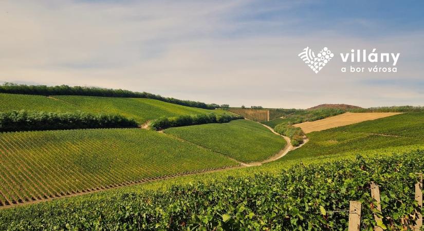 Pünkösdi Hosszú Hétvége Villányban 2026