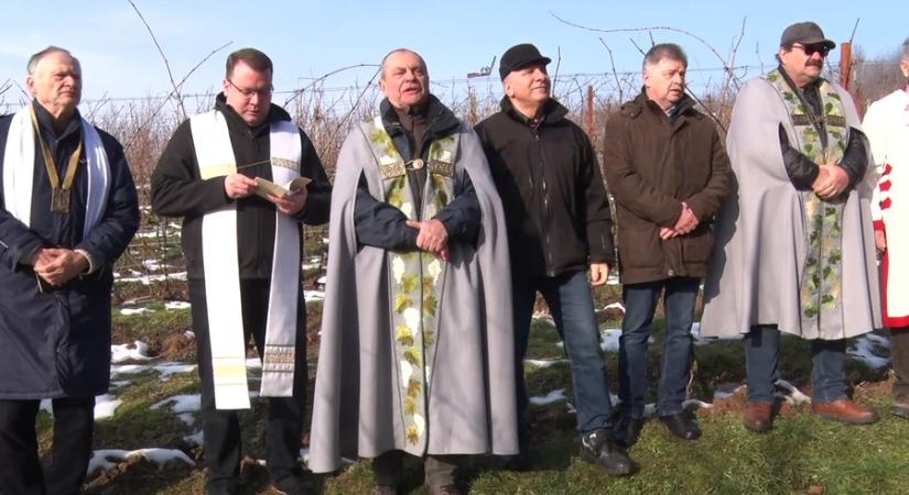 Metszés, áldás, borkóstolás Julián-hegyen