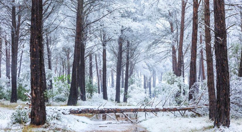 Itt zendít rá a havazás hazánkban, közölték a napot, amikor visszatér a hó az ország területére a friss időjárás-előrejelzések szerint?