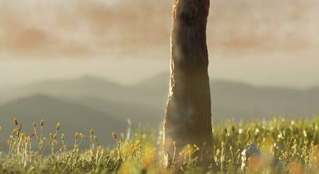 Egy eddig ismeretlen, teljesen kihalt életforma a kanadai partvidéken – Prototaxites