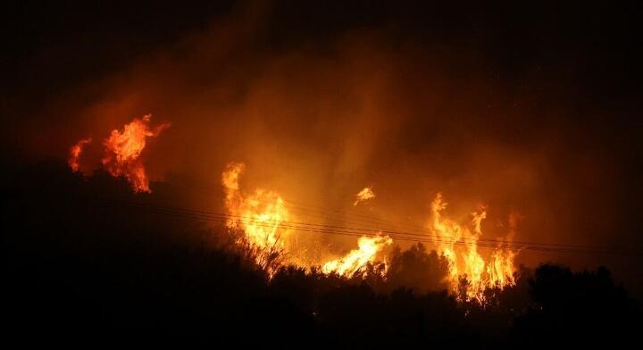 Lángok csaptak fel egy közép-görögországi élelmiszerüzemben
