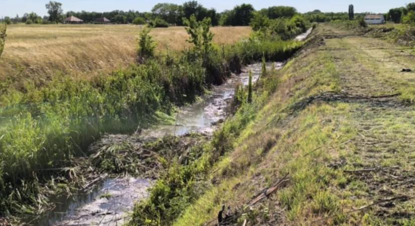 Védett állatok pusztultak el nyáron a Gerje-patak kotrásában, a rendőrség valamiért a munkagép vezetőjét kezdte el vizsgálni