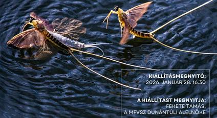 XXV. Nemzetközi–Magyar Fotószalon az AGORA–MSH-ban (jan. 28.)