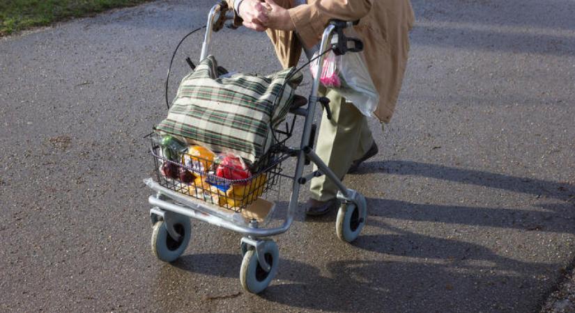 Felmérés: volt, aki eladta a nyugdíjas élelmiszer-utalványát