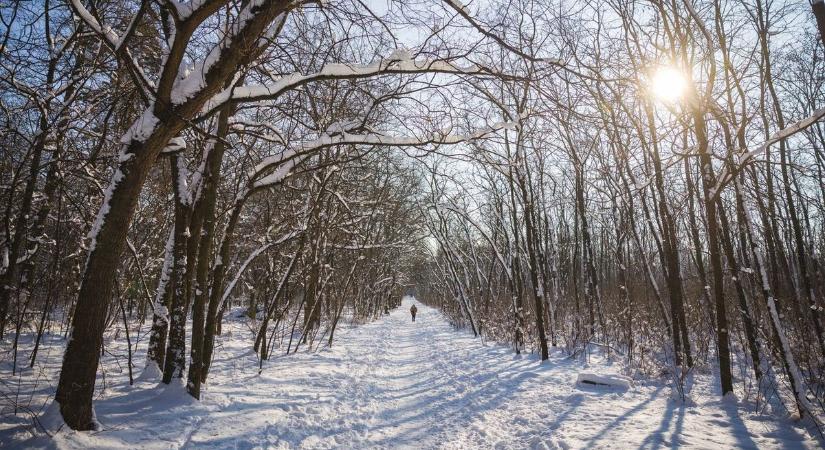 Megdöbbentő, mit művel a tél a kullancsokkal
