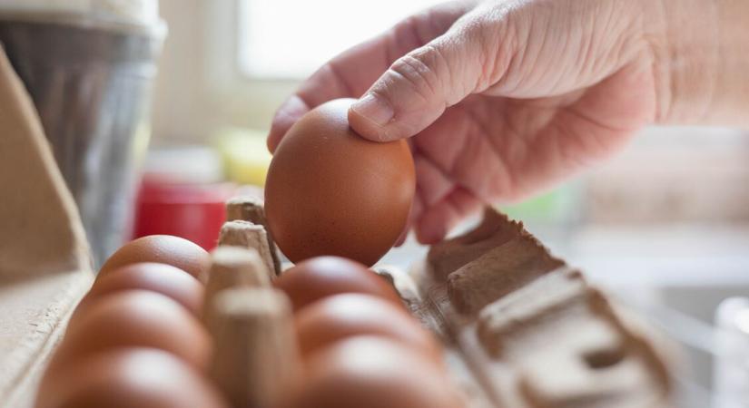 A séf elárulta, hogyan marad sokáig friss a tojás – Egy egyszerű trükk a titok nyitja