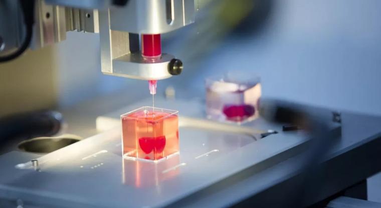 Működő májszöveteket állítanának élő kutatók úgynevezett bioprinting segítségével