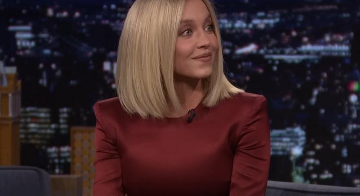 Komoly bajba kerülhet Sydney Sweeney, miután felaggatta melltartóit a Hollywood-feliratra