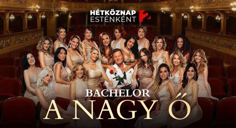 A győri Beatrix is verseng Stohl Andrásért – Ő a legidősebb, de akár tíz évet is letagadhat