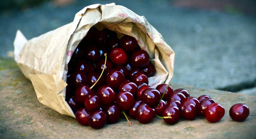 Ezért rekordmagas a meggy ára