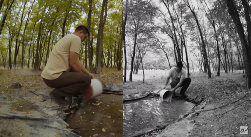 Elképesztő, mit műveltek a civilek: pár hónap alatt élő vízi élőhelyet varázsoltak a kiszáradt pusztából  Videó
