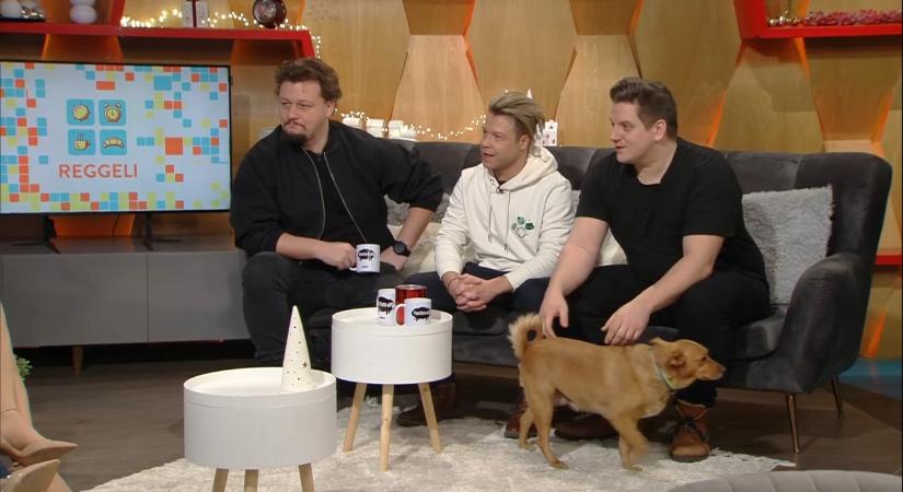 A Pokoli rokonok forgatásán jöttek össze: imádják a nézők Varga Ádám, Borbély Richárd és Urbán Richárd podcastjét