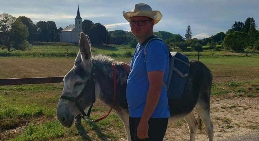 Szomorú hírt közölt a szamárfarm