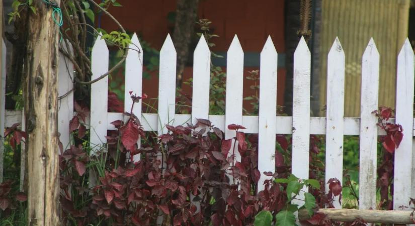 Kilakoltatták a nyugdíjast, mert 30 centivel arrébb tette a kerítését