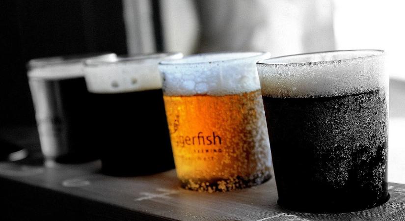 Alkohollal kiszolgálás, reklámszabályok megsértése, gyermektáborok megfelelősége: ezek az NKFH-ellenőrzések eredményei