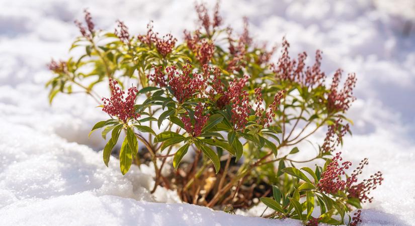 Délutánra kisüt majd a nap!