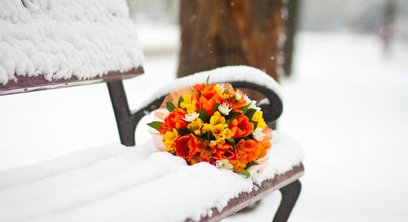 Ma, január 27.: Angelika és Angyalka ünnepelnek – mit árul el a nevük?