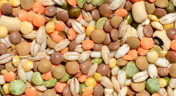 Nincs több rekord, idén mindenből kevesebb lesz Kanadában