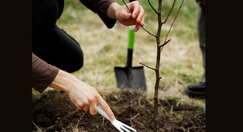 Adatalapú karbonlábnyom-csökkentés a gyakorlatban: mérés és kompenzáció a SPAR meghatározó rendezvényein