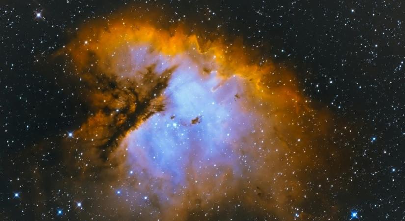 4 csillagjegy, aki vonzza a szerencsét és a pénzügyi sikert február 1-ig - a Vízöntő-időszak és erős energiái most nekik kedveznek