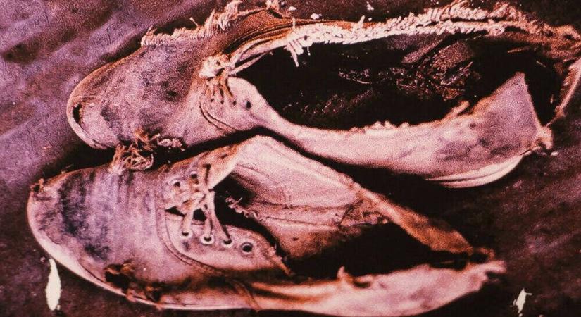 6 millió áldozatot követelő szörnyűségre emlékezünk ma: január 27-e a holokauszt emléknapja