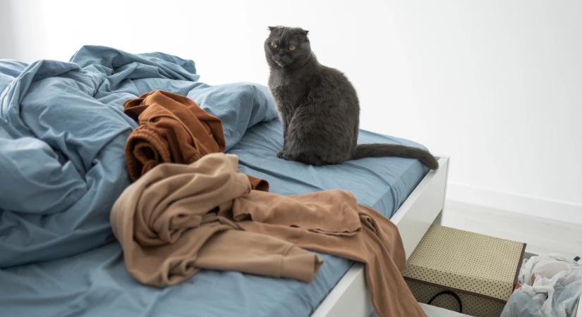 Nem veted be az ágyad? Ezt árulja el rólad a pszichológus szerint