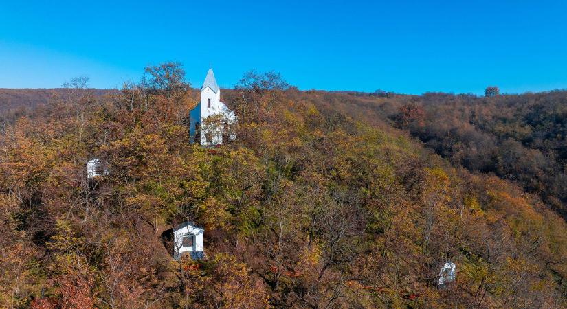 Elhagyatott magyar templomra bukkantak egy erdő mélyén, olyat találtak alatta, amiről nem beszélhettek