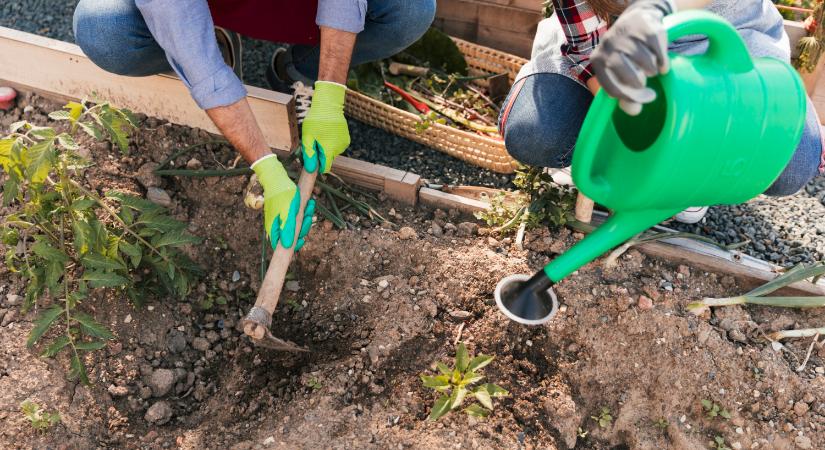 Tudatos kerttervezés: mi az, amit már az elején érdemes átgondolni?