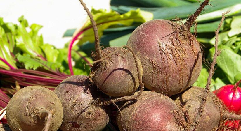 Majdnem 2 millió forintig adómentesen? Erről sok őstermelő még nem is hallott!