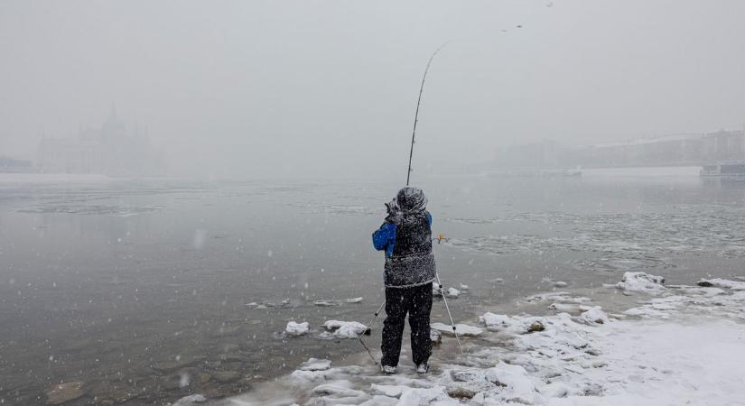 Két év eltiltás és 200 ezres bírság a balatonboglári horgásznak