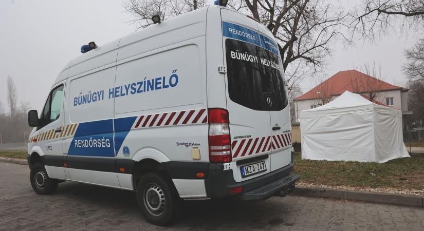 Megdöbbentő kegyetlenség: leszúrta, majd kétszer is szájon lőtte élettársát a férfi