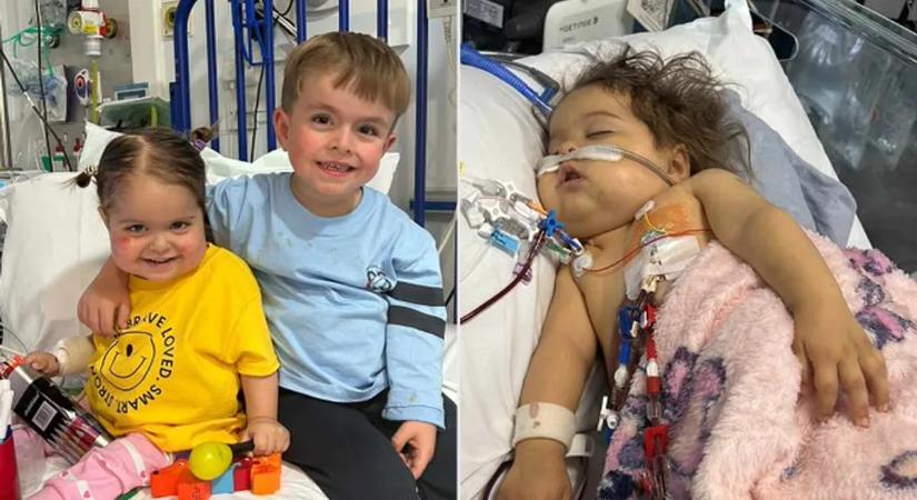 Szívfacsaró: második szervátültetés vár a 3 éves kislányra – ritka genetikai betegséget diagnosztizáltak nála