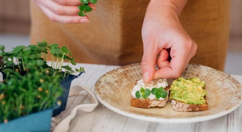 Csíráztatott kenyér: ebben más, mint a fehér – A vérnyomásra és a vércukorra is pozitív a hatása