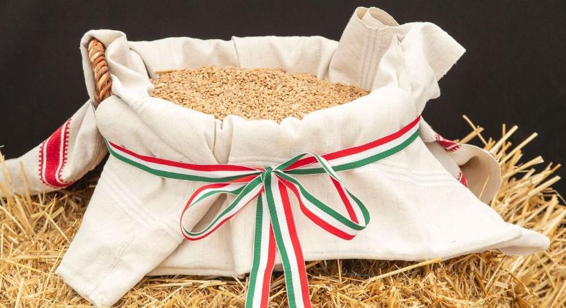 Az omladozó tárház üzenete: amikor Londonig terjedt a magyar búza híre