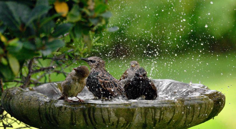 Szokatlanul fagyos tél után nagyon forró nyár jöhet? Fel kell készülni Magyarországon, ez kemény lesz