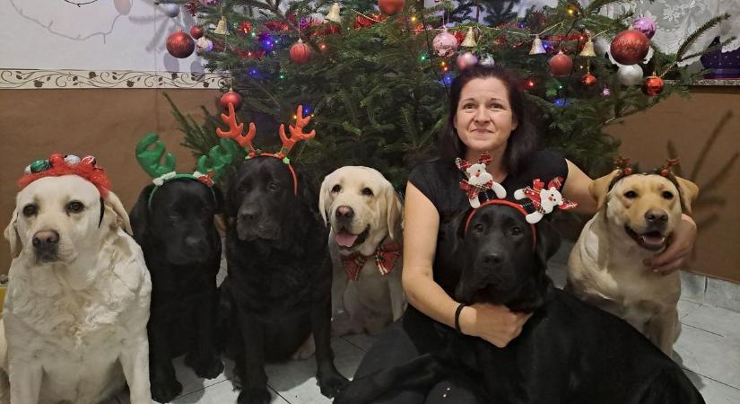 Elolvadunk tőlük! Olvasóink megmutatták a legaranyosabb házi kedvenceiket, mutatjuk a fotókat!