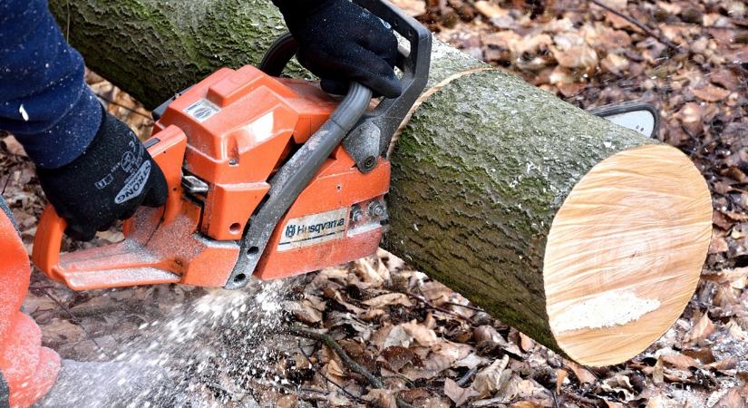 Láncfűrész télen: miért más a kenés logikája?