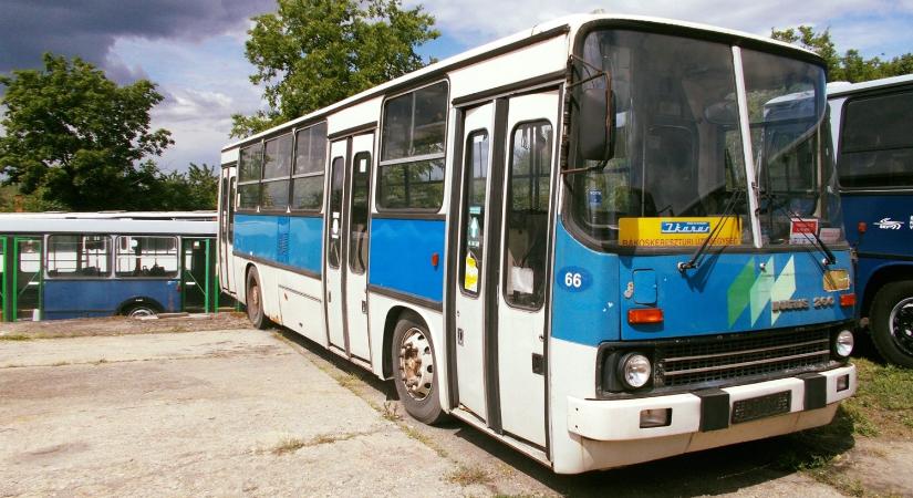 Különleges Ikarus autóbuszt vehetsz magadnak