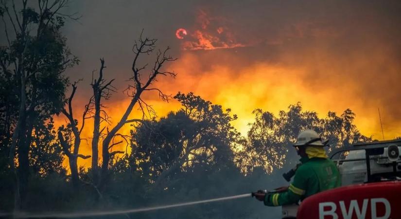 Izzasztó hőségben küzdenek a tűzoltók, közel húsz éve nem volt ilyen meleg